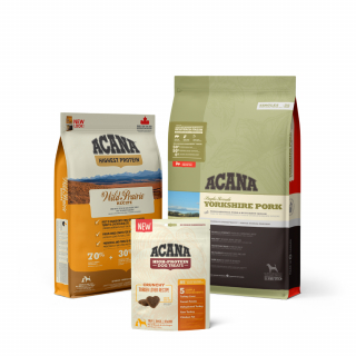 Illustration de l'article : Champion Petfoods, des aliments premium biologiquement appropriés aux animaux de compagnie, créés par et pour les pet lovers